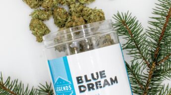 Blue Dream Strain By Legends: An Iconic Sativa At An Affordable Price