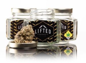 Top-Shelf Tuesdays: 20% Off Select Cannabis Brands at Kushmart 
