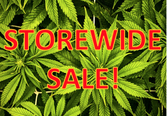 Weed deals in Everett